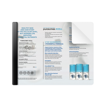 XCELL – Printed Brochure