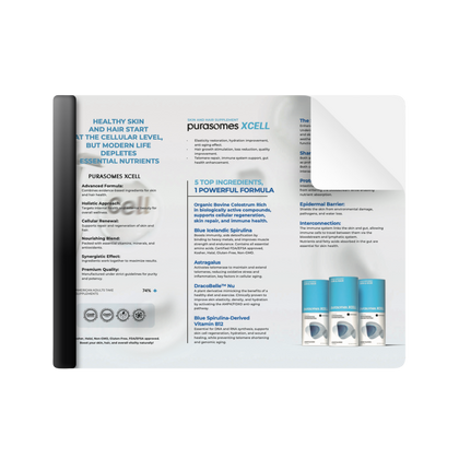 XCELL – Printed Brochure image-2